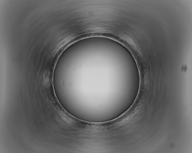 X0000091240873200708161734