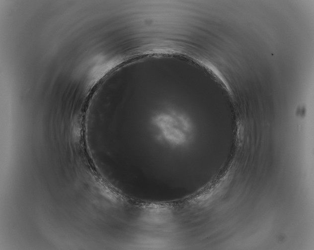 X0000091240874200708161734
