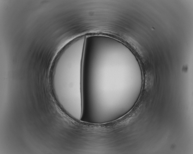 X0000091240876200708161734