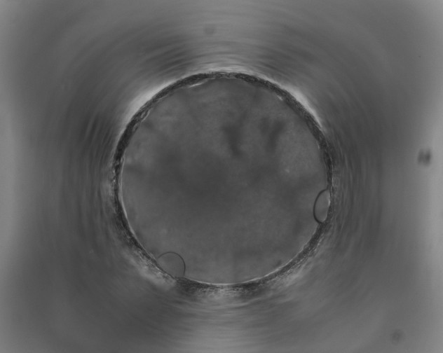 X0000091240879200708161734