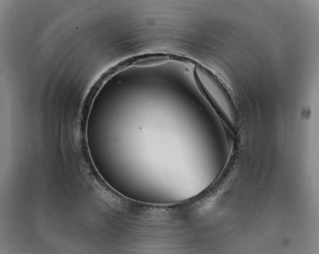 X0000091240880200708161734