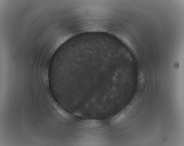 X0000091240881200708161734