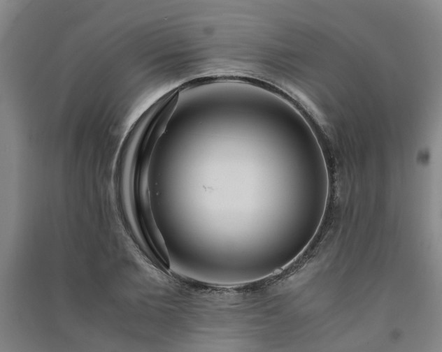 X0000091240885200708161734