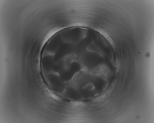X0000091240886200708161734