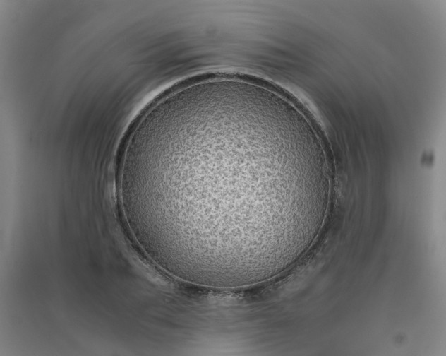 X0000091240887200708161734