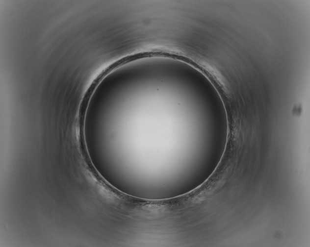 X0000091240888200708161734