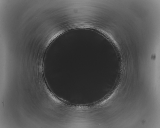 X0000091240889200708161734