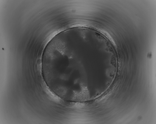 X0000091240890200708161734