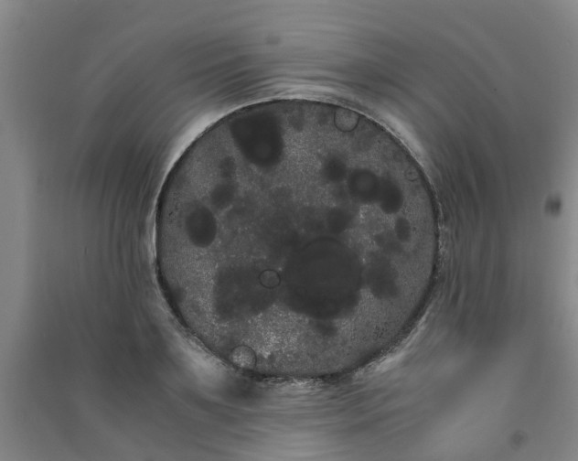 X0000091240891200708161734