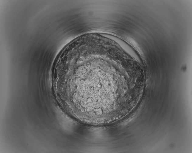 X0000091240892200708161734