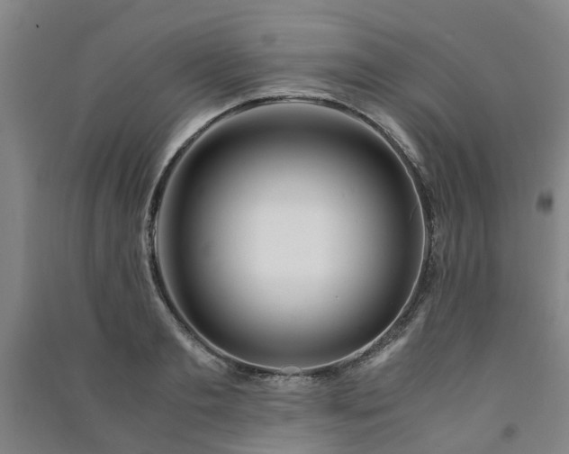 X0000091240893200708161734