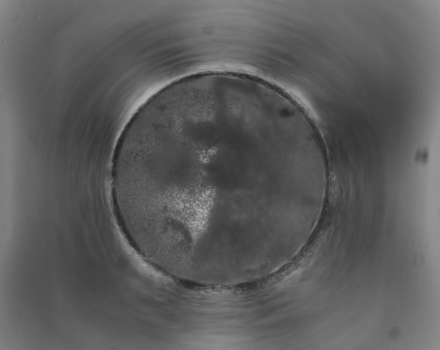 X0000091240895200708161734