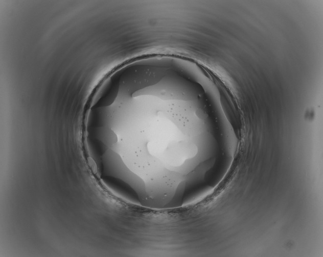 X0000091240896200708161734
