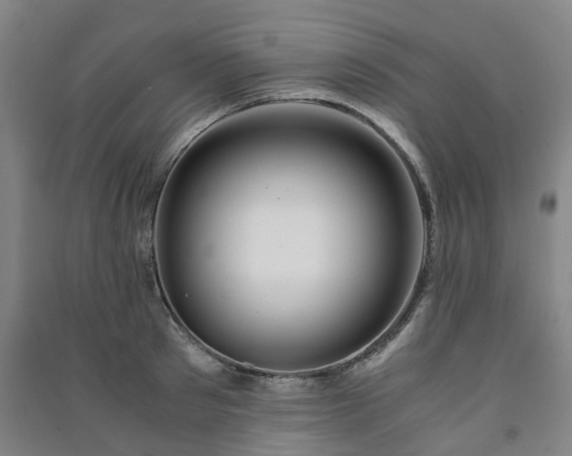 X0000091240897200708161734