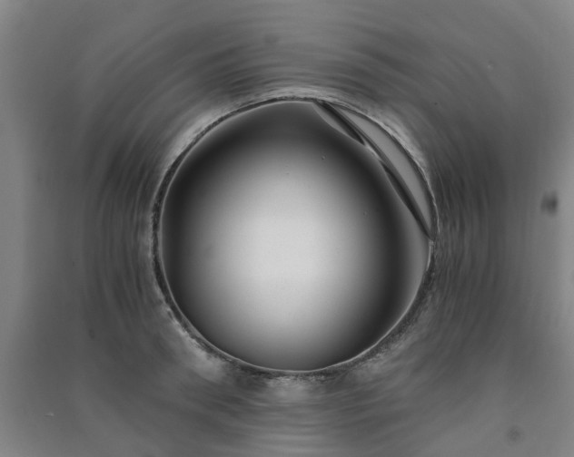 X0000091240898200708161734