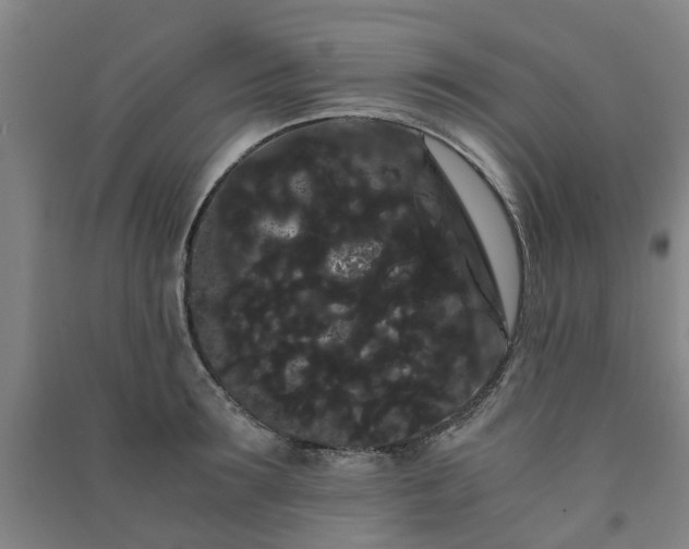 X0000091240899200708161734