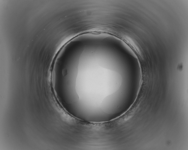 X0000091240900200708161734