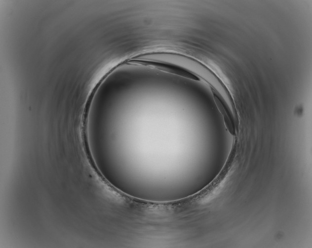 X0000091240901200708161734