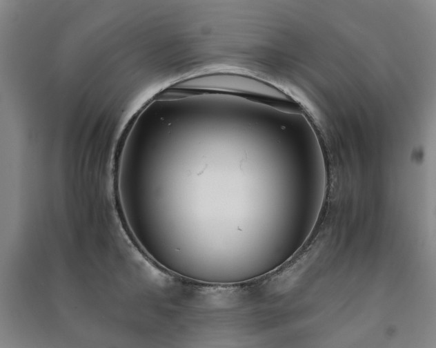 X0000091240902200708161734