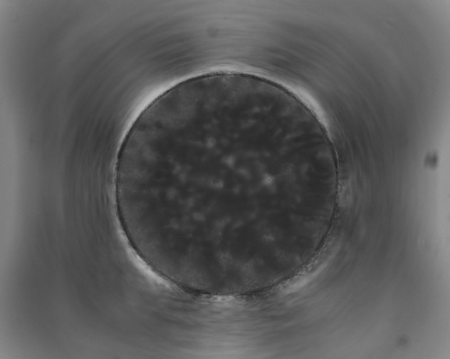 X0000091240903200708161734