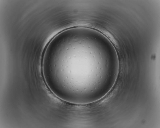 X0000091240904200708161734