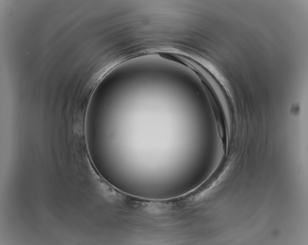 X0000091240905200708161734