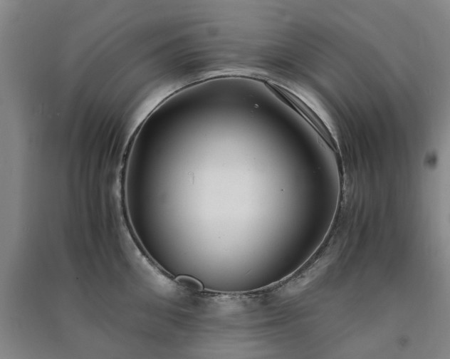 X0000091240906200708161734