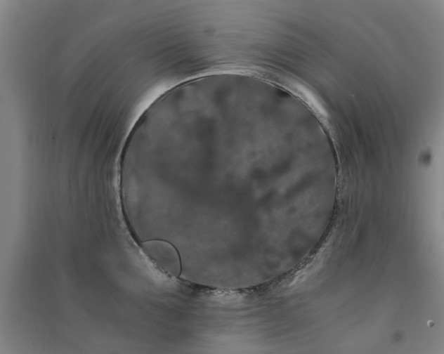 X0000091240907200708161733
