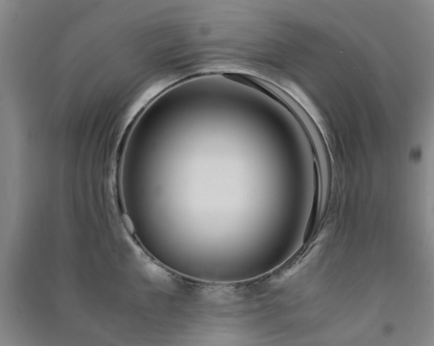 X0000091240909200708161733