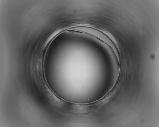 X0000091240910200708161733