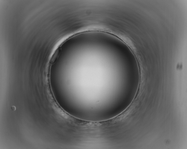 X0000091240912200708161733