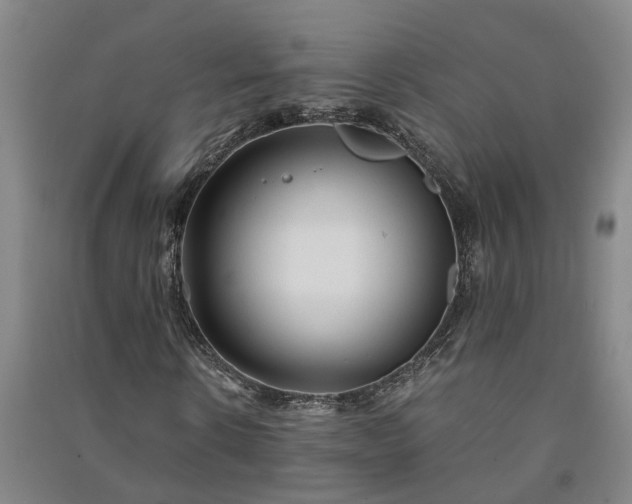 X0000091240914200708161733