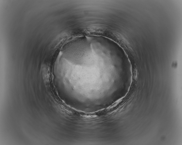 X0000091240915200708161733