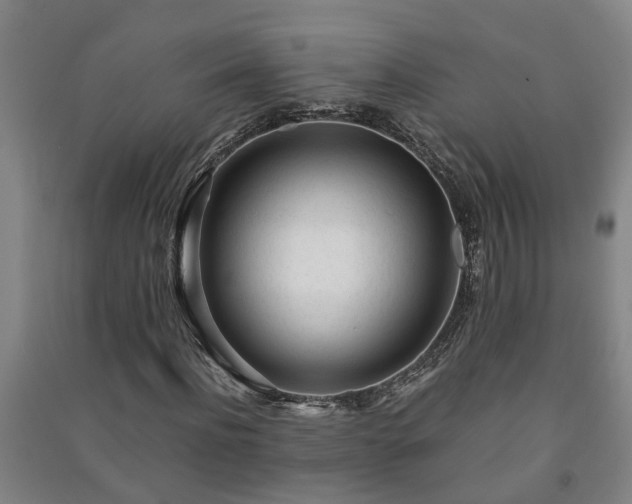 X0000091240916200708161733