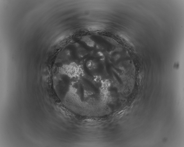 X0000091240917200708161733