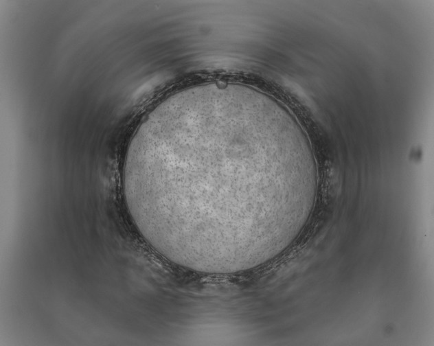 X0000091240918200708161733