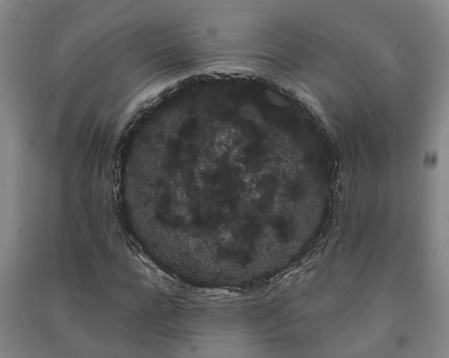 X0000091240920200708161733