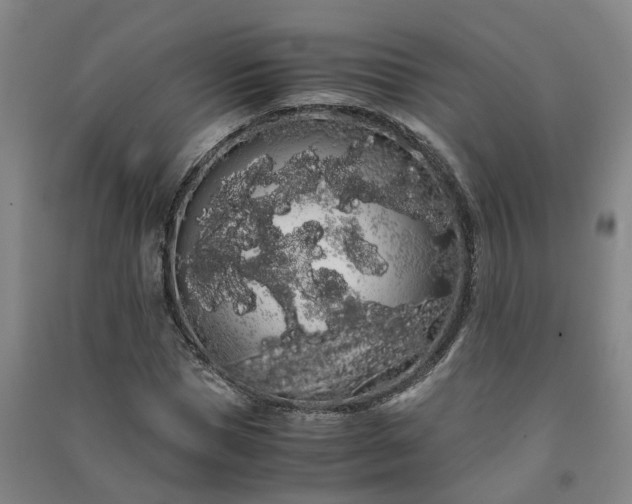 X0000091240921200708161733