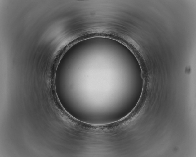 X0000091240922200708161733