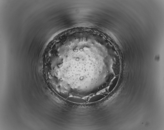 X0000091240923200708161733