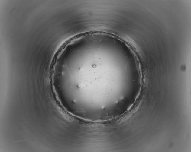 X0000091240924200708161733