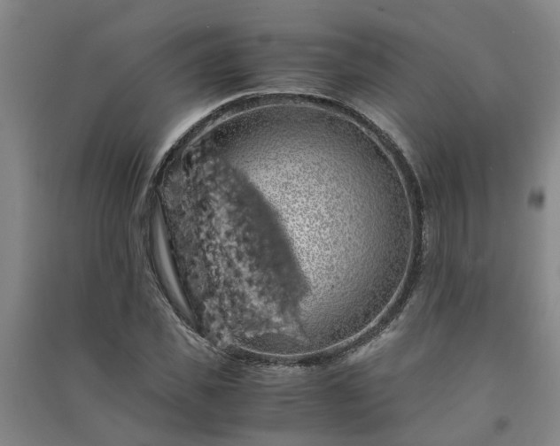 X0000091240925200708161733