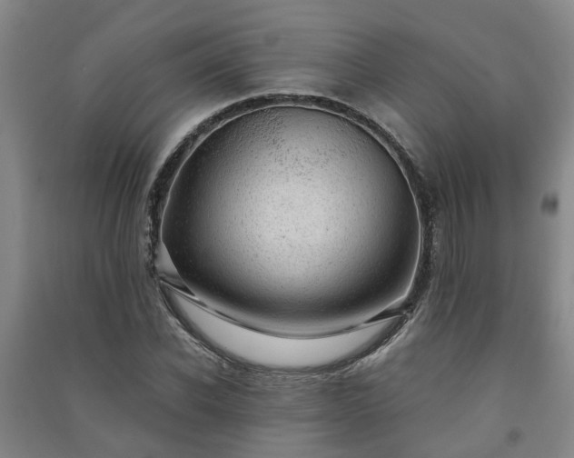 X0000091240926200708161733