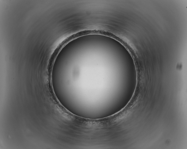 X0000091240927200708161733