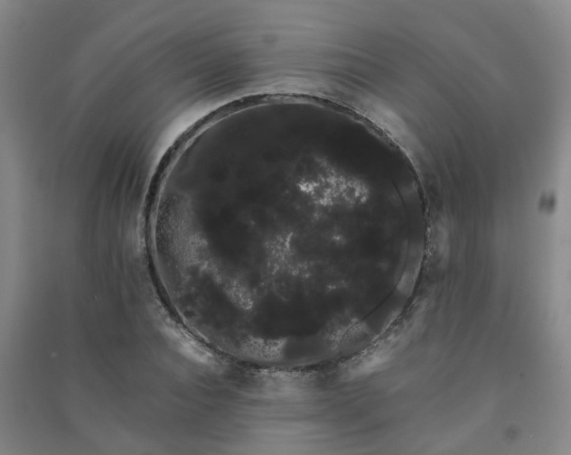 X0000091240928200708161733