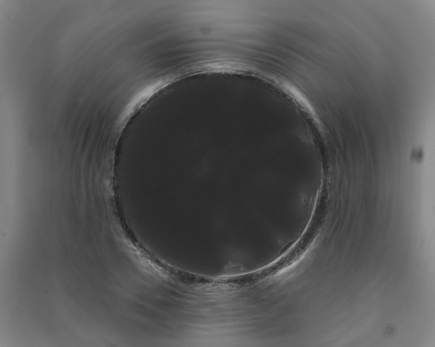 X0000091240930200708161733