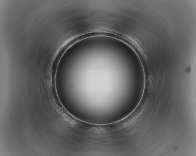 X0000091240931200708161733