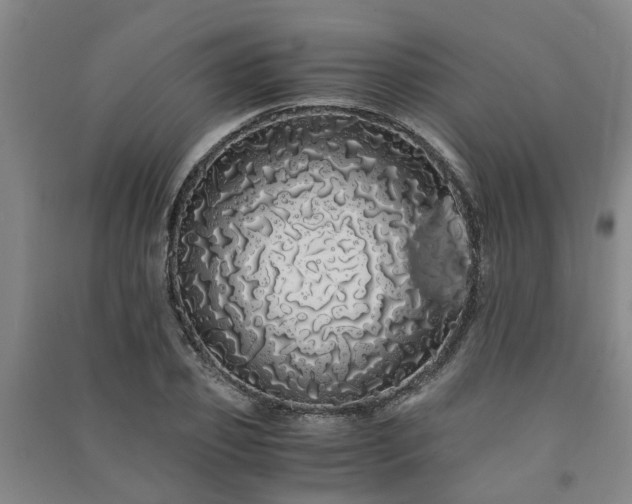 X0000091240933200708161733