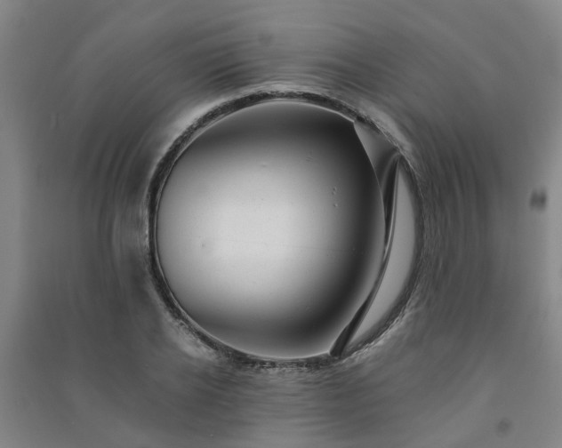 X0000091240934200708161733