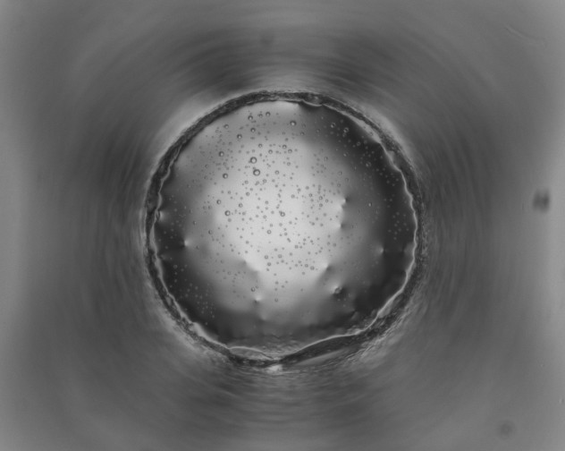 X0000091240935200708161733